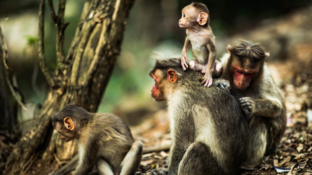 The ultimate beginner’s guide to data scraping, cleaning, and&nbsp;visualization