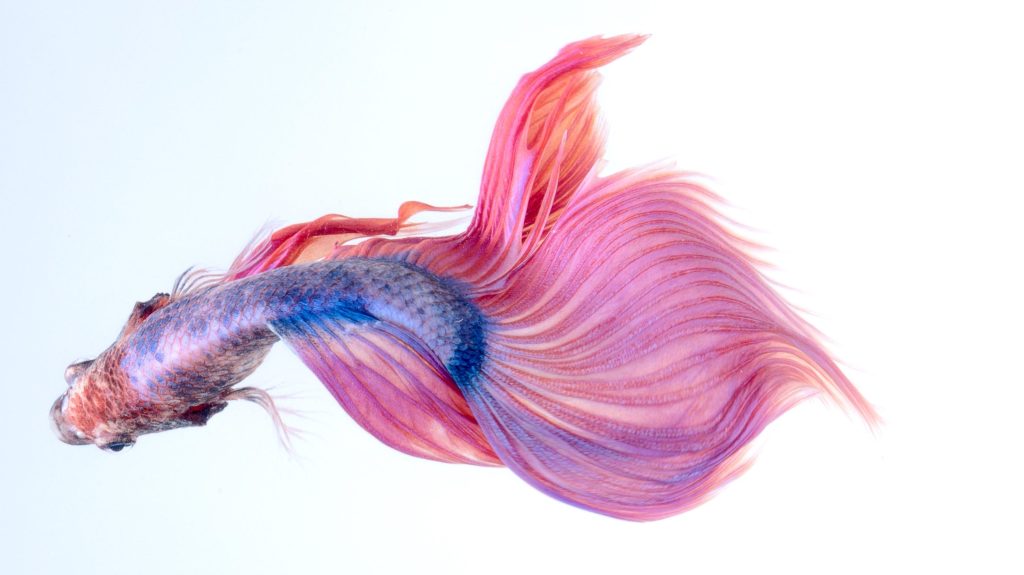 What is deep learning, and how does it&nbsp;work?